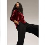 Eileen Fisher EILEEN FISHER Red Velvet Dolman Sleeve Blouse Boxy Top Silk Blend Velour New Photo 7