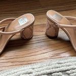 DV by Dolce Vit Dolce Vita Heels Photo 3