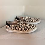 J/Slides NYC Leopard Haircalf Slip Photo 2