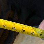 Bailey blue  Black Blouse with Lace Accents | Women’s Size Medium Photo 6