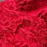 Mioh CONCERT RED Photo 10