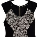 EXPRESS  Womens Leopard Print Dress Size 8 Black Sleeveless Pencil Full Back Zip Photo 3