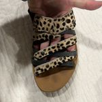 Sorel Lake Shore Horse Hair Sandal Shoe Rare
Women's Size 8.5 Leopard P… Photo 3