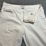 CAbi Mid Rise Stretch Boot Cut Jeans Size 12 Style # 895 **FLAW** Photo 4