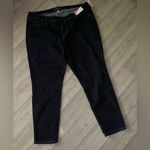 Boutique + NWT skinny Women's dark Jeans plus 22W Photo 0