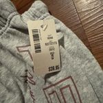 Aeropostale Nwt  Gray Sweatpants Photo 1