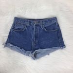 Brandy Melville John Galt  Cheeky Denim Shorts Photo 2
