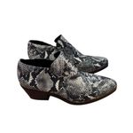 Intentionally Blank Black White Snakeskin Ankle Booties 10 Photo 2