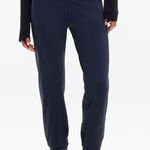 Eileen Fisher  Deep Blue Jogger Pants Photo 0