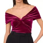 Parker Velvet Ruffle Sleeve Party Blouse Fuchsia Purple Size M NWOT Photo 1