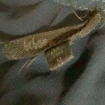 Bebop  Size Medium Elegant Navy Short Sleeve Cross Front Jumpsuit. Preloved Photo 6