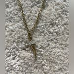 Gold Cornicello Necklace Photo 1