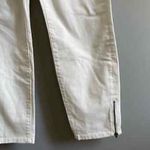 Soft Surroundings ✨ Legging Ankle Zip✨ Photo 3