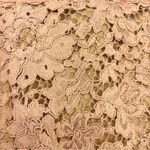 Veronica Beard Aura Lace Skirt in Blush Photo 6