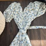 The Great  Rose Print Dress Photo 4