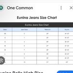 Eunina  Light Blue Denim Jeans Dawn High Rise wide Leg Crop Denim Distressed Photo 5