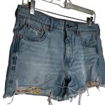 American Eagle  Tomgirl‎ Denim Cutoff Shorts Photo 1