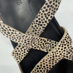 Madewell Shoes Womens Size 5.5 AUBREY Spotted Platform Sandals Strappy Leather Photo 12