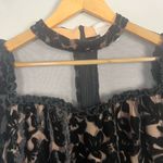 Foxiedox Anthropologie  Burnout Velvet 3/4 length sleeves mini dress black size S Photo 3