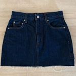 Aritzia Denim Forum Skirt  Photo 0