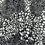 International concepts White House Black Market halter Sleeves top with black beaded neckline Sz XS Photo 4