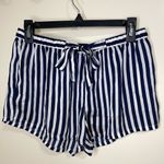 Forever 21 Women’s Blue & White Striped Shorts (Size Medium) Photo 0