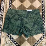 Old Navy NWT…OLD BAVY Olive Leaf Pixie Chino Shorts Photo 1