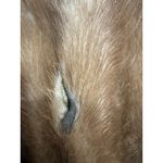 Vintage The May Company Cleveland Mink Real Fur Brown Shawl One Size Old Money Size M Photo 5