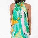 Impeccable Pig Dress  Photo 2