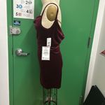 Jump Apparel Embellished Cowl Neck Velvet Dress in Wine Photo 5
