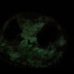 Disney Hong Kong land Tim Burton Nightmare Before Christmas Glow in the Dark Halloween T-Shirt Size Small Photo 5