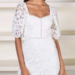 Lucy Paris ELAINE Ivory Lace Floral Mini Dress Size Small Photo 0