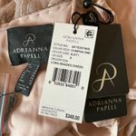 Adrianna Papell  Beaded Embroidered A-Line Evening Gown Pink Size 6 Formal Dress Photo 9