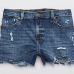 Aerie Denim Shorts Photo 3