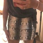 Impeccable Pig Leather Snake Skirt Photo 0