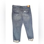 American Eagle  Distressed Blue Jeans 18 skinny regular fit Photo 1