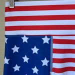 Beach Riot NWT  American flag biker shorts Photo 4