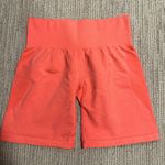 NVGTN Shorts Photo 0