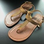 Rampage  Women's Brown and Gold Flat Buckle Sandals Size 7 Photo 0