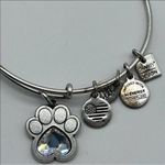 ALEX AND ANI  Dog Paw Prints of Love Bracelet -Silver Tone, Crystal Charm Photo 8