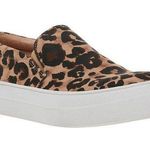 Steve Madden Leopard GILLS-A Fabric Slip-On Sneakers Shoes 8.5 Photo 0