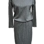 ZARA TRF Midi Ling Sleeve Dress Gray Size Medium Photo 0