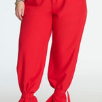Eloquii  Red Wide Leg Tie Ankle Pants Size 20 NWT Photo 0