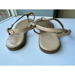 Circus by Sam Edelman Sam Edelman Circus CAYDEN Nude Patent Thong Flats Sandals Women Size 9 M Photo 3