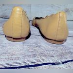 Sam Edelman  Size 6.5 M Augusta Light Camel Ballet Leather Flats Photo 5