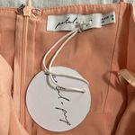 Petal and Pup  Blush Pink Tino Bustier Silky A-line Midi Slip Dress Size Large Photo 12