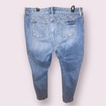 Torrid  Distressed Stretch Jeans with Floral Appliqué & Raw Hem Photo 1