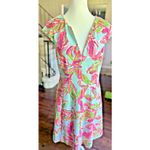 Lilly Pulitzer Briella Pink In The Vias Fit & Flare V-Neck Dress Sz M Tropical Photo 1