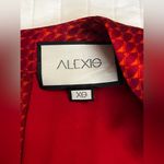 Alexis  Salomo V-neck Geo Striped Pleated Maxi Dress Photo 8