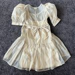 We Wore What Danielle Bernstein Puff Sleeve sheer dress Photo 2